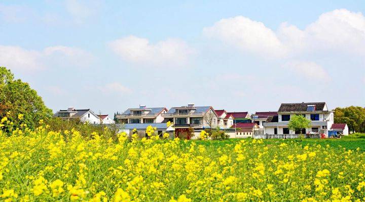 河南焦作市發(fā)文推進農村人居環(huán)境整治、農村污水治理、黑臭水體治理